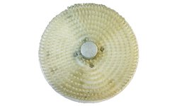 Диск моющий Kocateq PPHLP20washingdisk