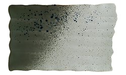 Блюдо Bonna GAI 38 DT