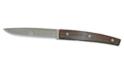 Нож для стейка ICEL Steak Knife 23300.ST06000.110
