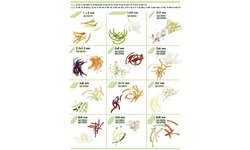 Диски соломка